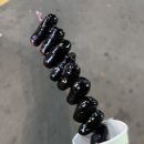 세진게임랜드 이미지