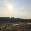 나들라온 이미지