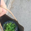 프로젝트엘비스 | 대충 알고 좋아하고 다 알고 싫어하자