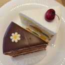 면목동-197 | [중랑역 카페] 디오리진(The Origin) / 애견동반카페/ 디저트맛집/ 커피맛집/ 방문후기