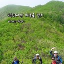 장계대곡~무룡고개가로수길 | 연녹색 옷으로 갈아 입은 백두대간길 영취산~육십령