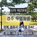 신경주역사주유소 네이버블로그