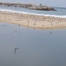 하저민박 이미지