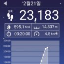 적현로-2 이미지