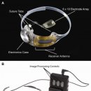 글라스 바바 안경(하양점) 이미지