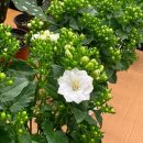 윤영목장2 | 2025년 4월 둘째주 일기