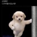 나우롯데포항 | [일상] 힐링 한가득 얻었던 11월🐬