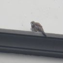 풍산공원 이미지