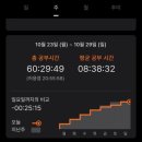 (주)미나투어 이미지