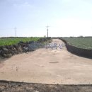 신도리-3 이미지