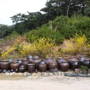 수리뫼 이미지