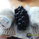 삼일농산 이미지