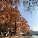 호반로(상아동) 이미지