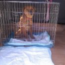 누렁이농장 이미지