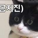 언북문화체육센터 이미지