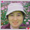 고운머리방 - 포천시 솔모루로118번길 8 | 고운머리방