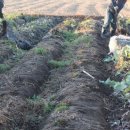 오장농장 이미지