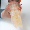 (주)정글무역