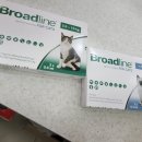 신보룡약국 이미지