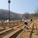 광역농장 이미지