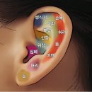 축산물자양직매장 이미지