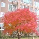 정읍동초등학교 이미지
