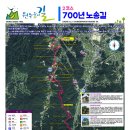 원주굽이길 2코스 700년 노송길 이미지