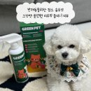 그린펫동물병원 | 반려동물을 위한 완벽한 청소 솔루션 그린펫 올인원 리무빙 클리너 리뷰