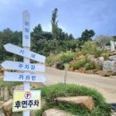 파노라마오션뷰풀빌라 | 포항 영덕 애견동반 신축 프라이빗 오션뷰 풀빌라 스페이스영덕 찐방문후기