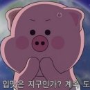 상문이숯불두마리치킨 이미지