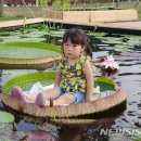 심청이