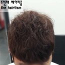 조선태헤어리즘