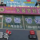 세브란스 동물병원 | 고양 탄현동 동물병원 세브란스동물병원 진료시간 접근성 이용후기