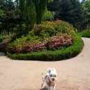 하늘스튜디오 이미지