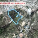 지방도905호선1 네이버블로그