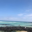 평대리 943 Tu Casa 이미지