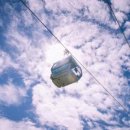 하이원펫클럽 이미지