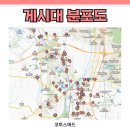 행정용 44 이미지