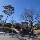 청양현읍치지 이미지