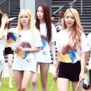스텔라 이미지