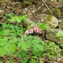 백담주차장 이미지