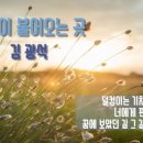 바람이불어오는곳 이미지