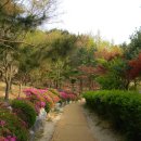 뻥튀기공원 이미지