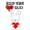 플레어비롯데백화점 이미지