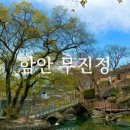무진공영 이미지
