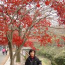 소요산(2010.11.06) 이미지