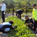 돈암2동자치회관 이미지