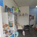 개폼나개 이미지