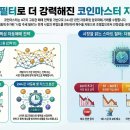 코인마스터