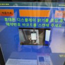 래퍼드스포츠 - 보령시 명암1길 17 | 엘리시안 강촌 스키강습 , 엘리시안 강촌 렌탈샵 아이와 방문후기